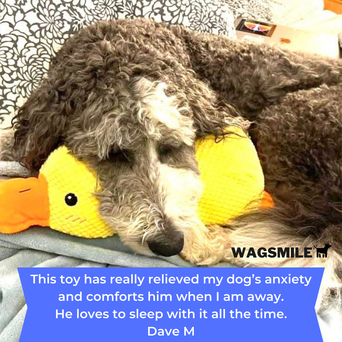Duraplay Calming Duck