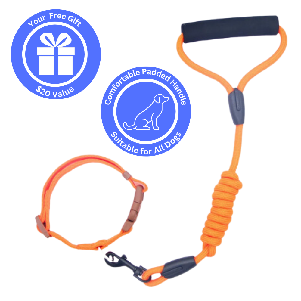 Dog Leash - Your FREE Gift